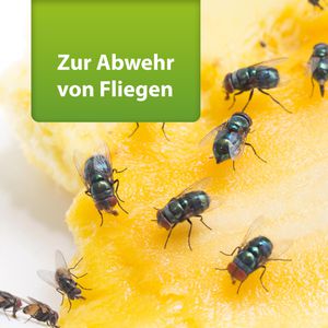 Produktbild für Insektenspray ARDAP Repell Fliegenspray