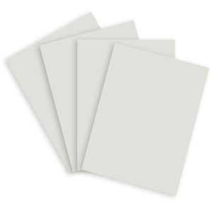 Produktbild für Kopierpapier Papyrus Rainbow 88042789