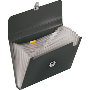Produktbild für Fächermappe Brunnen FACT! 102024080, A4, grau