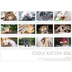 Produktbild für Bildkalender Edition-Seidel Coole Katzen 2026