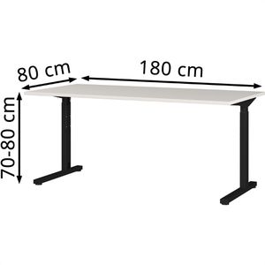Produktbild für Schreibtisch Germania Profi 3.0, 4253-581, lichtgrau / schwarz