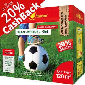 Produktbild für Rasensamen Wolf-Garten L 120 G Rasen-Reparatur-Set