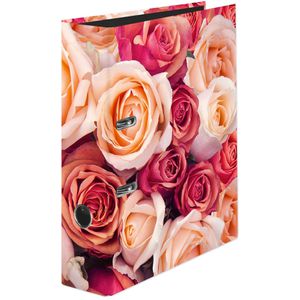 Ordner Falken 22002008, Karton, A4