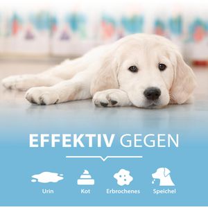 Produktbild für Enzymreiniger ARKA PGD750G, PIPI-WEG Hund