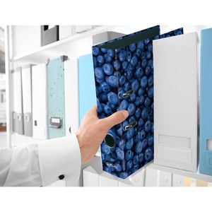 Produktbild für Ordner Herlitz 11080660 maX.file Fruits Karton, A4