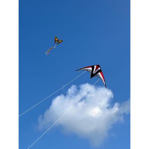 Produktbild für Lenkdrachen Günther 1031 Whisper 125 GX
