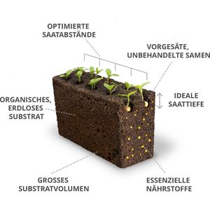 Produktbild für Saatpad Veritable Lingot, Rote Walderdbeere