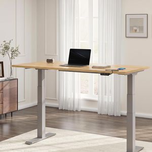 Produktbild für Schreibtisch FlexiSpot E7S 2026, ahorn / grau