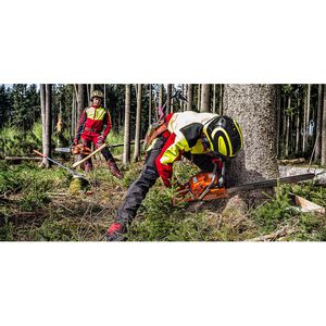 Produktbild für Forsthelm Protos Integral Forest F39, schwarz-gelb