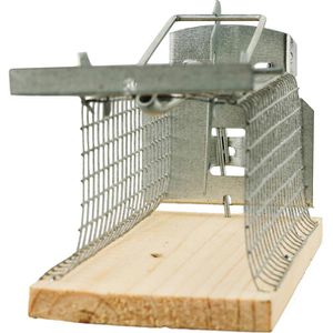 Produktbild für Mausefalle Swissinno Classic Mauskäfig 1584000