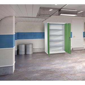 Produktbild für Werkzeugschrank CP-Möbel 8931-00, aus Metall, grau / grün