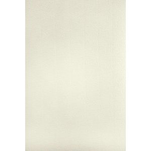 Briefpapier Netuno FA120CL103/A4, Aster Laid, elfenbein, A4
