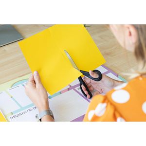 Produktbild für Büroschere Zwilling Twin L, 41300-191, 19 cm
