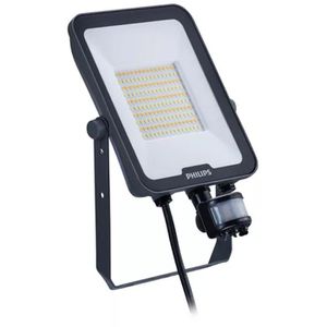 LED-Außenstrahler Philips BVP167, IP65 wasserdicht