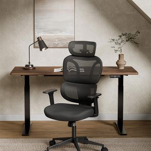 Produktbild für Bürostuhl FlexiSpot BS5B