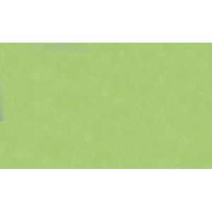 Transparentpapier Folia 82551, 70 x 100cm