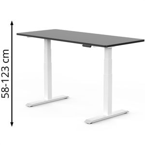 Schreibtisch FlexiSpot E7B 2026, schwarz / weiß