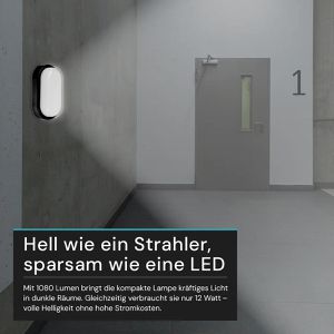 Produktbild für Kellerlampe Luxula LX300236, IP54 Spritzwasserschutz