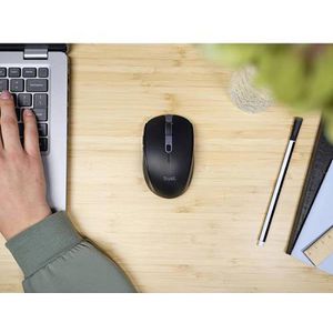 Produktbild für Maus Trust Ozaa 24819