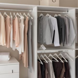 Produktbild für Mottenfalle Protect Kleider- und Textil, Pheromonfalle