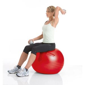 Produktbild für Gymnastikball Togu Powerball ABS