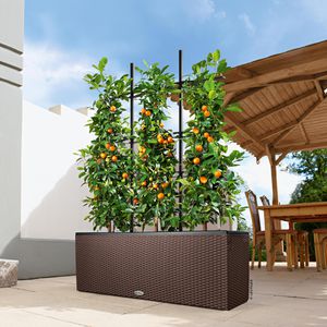 Produktbild für Pflanzkasten Lechuza TRIO Cottage 40 mokka