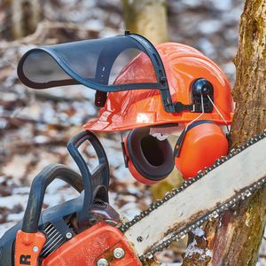 Produktbild für Forsthelm Feldtmann TECTOR Waldarbeiter-Helmset, orange