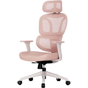 Produktbild für Bürostuhl FlexiSpot BS5P