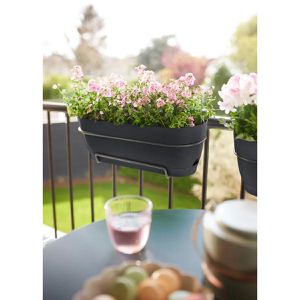 Produktbild für Blumenkasten elho Vibia Campana Allin1 50, anthrazit
