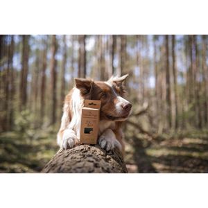 Produktbild für Hundekotbeutel TSP 2070, biologisch abbaubar
