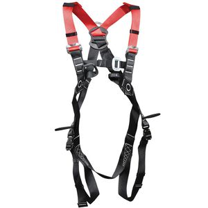 Sicherheitsgurt COFRA MARTON FAST, 2-Punkt-System