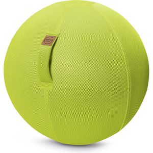 Produktbild für Sitzball Sitting-Ball MESH, belastbar bis 100 kg