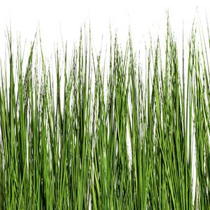 Produktbild für Kunstpflanze Creativ-green Gras Raumteiler