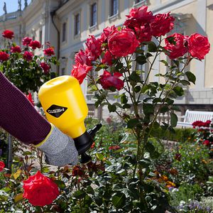 Produktbild für Drucksprüher Mesto Bugsi 360°, 1,5 Liter
