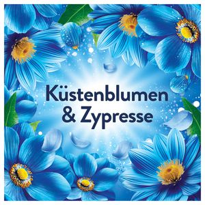 Produktbild für Weichspüler Lenor Küstenblumen &amp; Zypresse, Großpackung