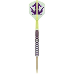 Produktbild für Dartpfeile Target-Darts Luke Littler WM 2025 Swiss Point