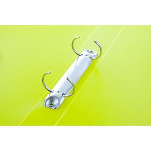 Produktbild für Ringbuch Pagna 20900-17, A4