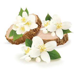 Produktbild für Raumduft glade Duftstecker electric scented oil