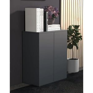 Produktbild für Aktenschrank VCM Dalosa 2-Fach 918320, aus Holz