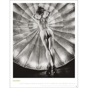 Produktbild für Erotikkalender Heye 22467, Backside, Jahr 2027