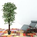 Produktbild in Größe 120