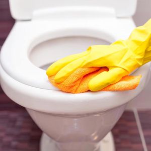 Produktbild für Hygienereiniger Tork Mini Toilettensitzreiniger S5