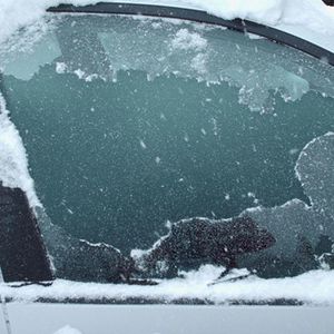 Produktbild für Scheibenenteiser HG 555050105