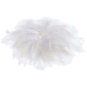 Produktbild für Federn Folia 53100 Flauschfedern