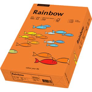 Produktbild für Kopierpapier Papyrus Rainbow 88042440