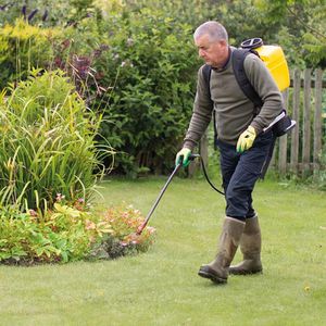 Produktbild für Arbeitshandschuhe ACE-Instruments Garden Eden