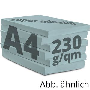 Produktbild für Kopierpapier Papyrus Rainbow 88376526