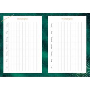 Produktbild für Schülerkalender Heye 23636, Harry Potter - Hedwig, 2026/2027