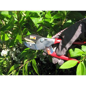 Produktbild für Gartenschere Meister WU9719800 Basic, Amboss