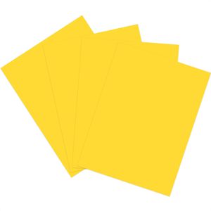 Produktbild für Kopierpapier Papyrus Rainbow 88042392